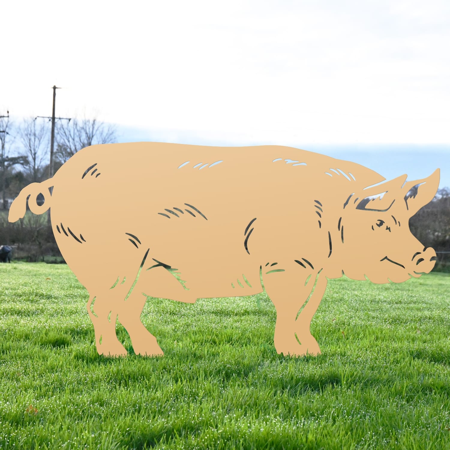 Tan Male Pig Iron Silhouette