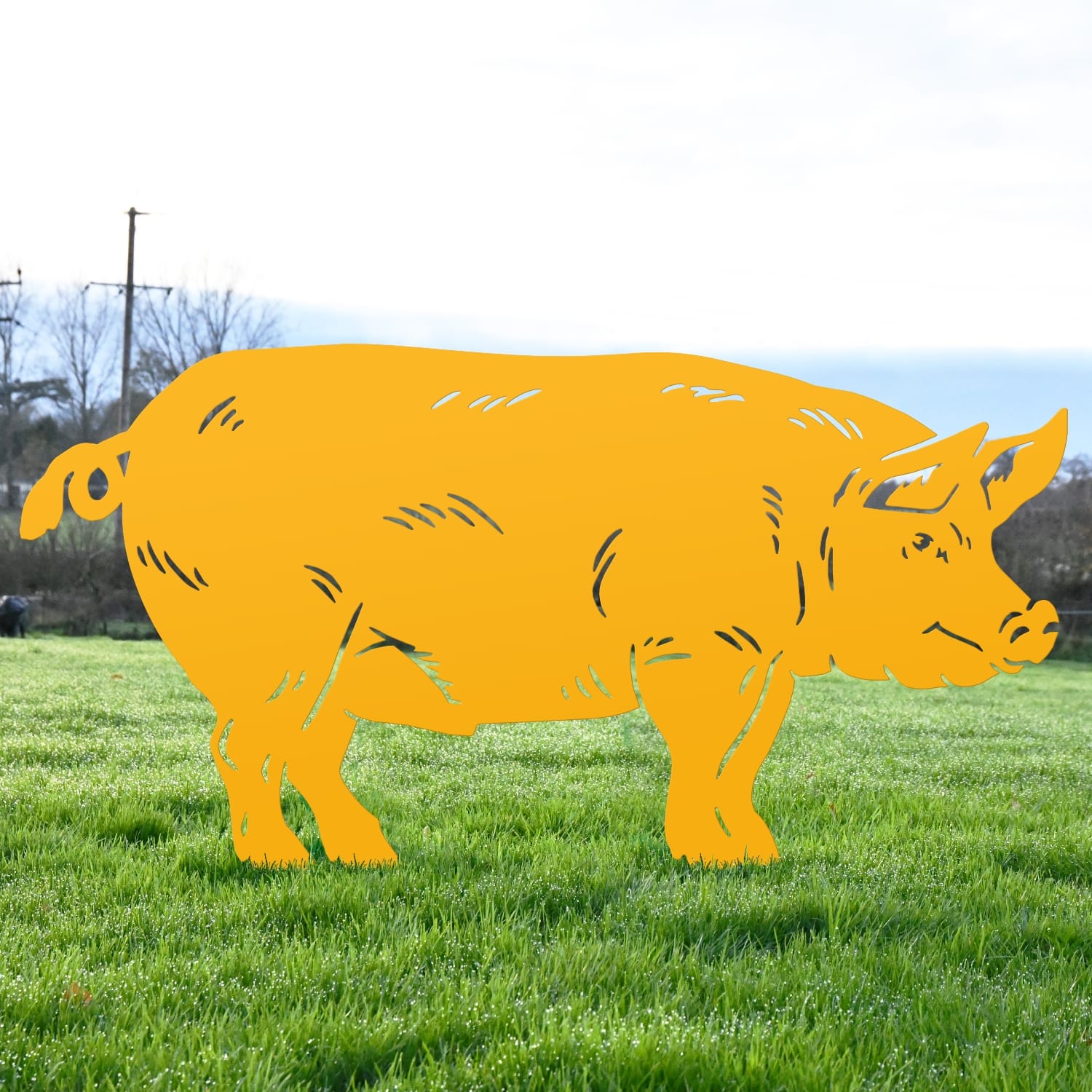 Yellow Male Pig Iron Silhouette