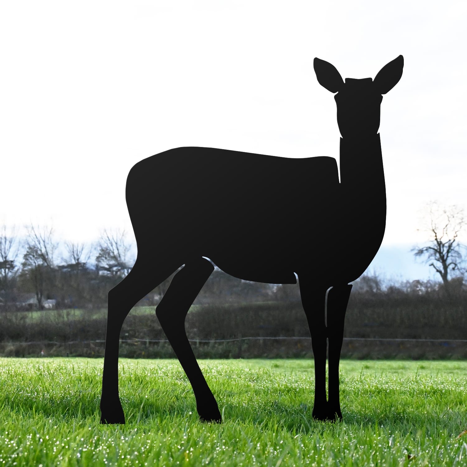Black Doe Steel Silhouette