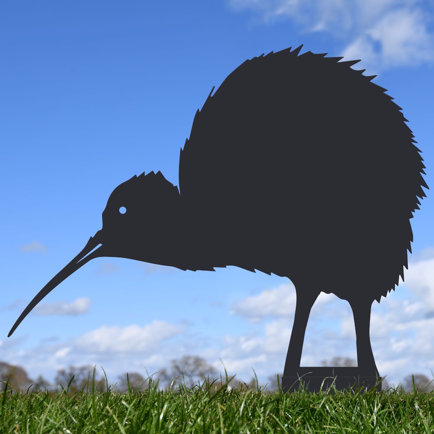 Kiwi Bird Silhouette