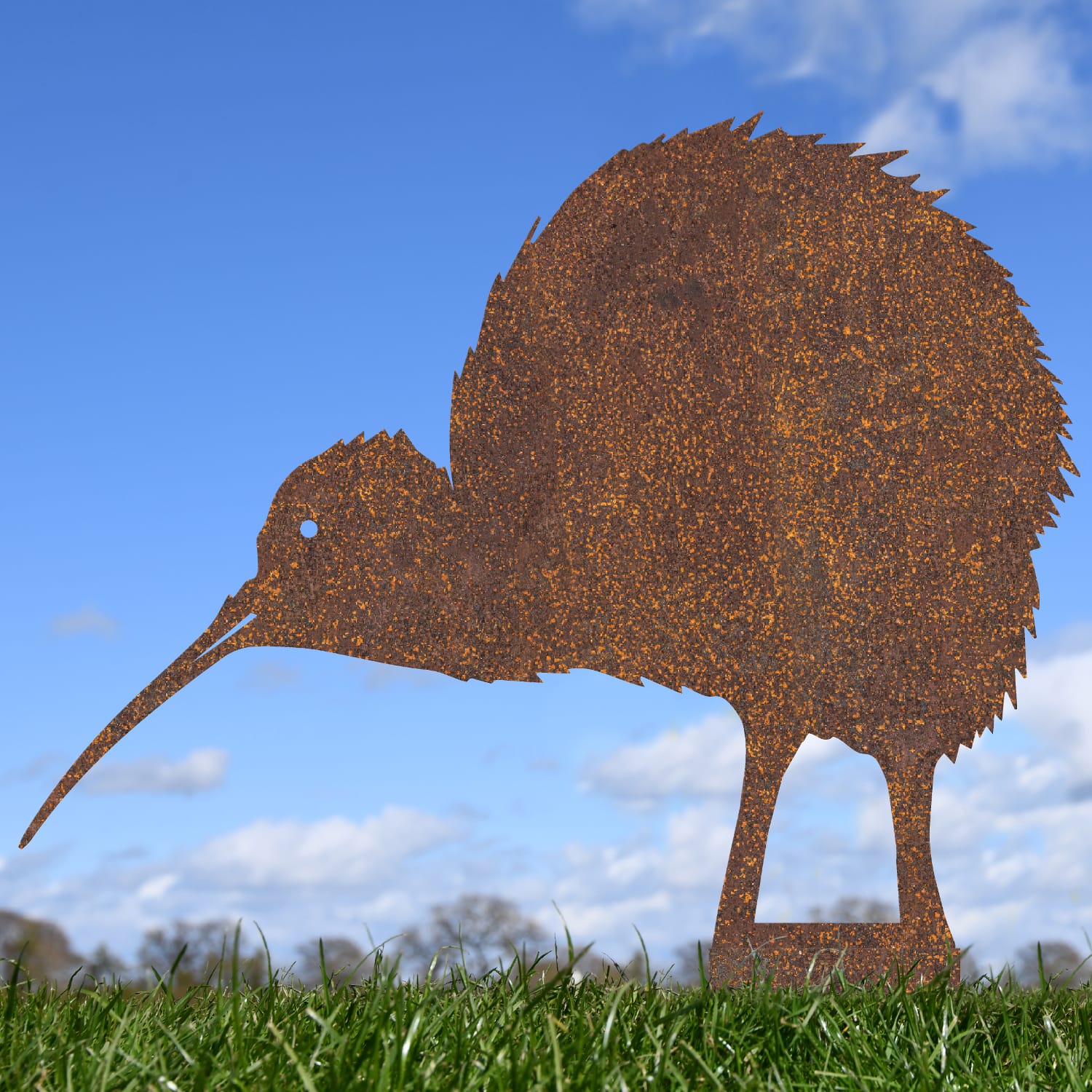 Kiwi Bird Rustic Silhouette