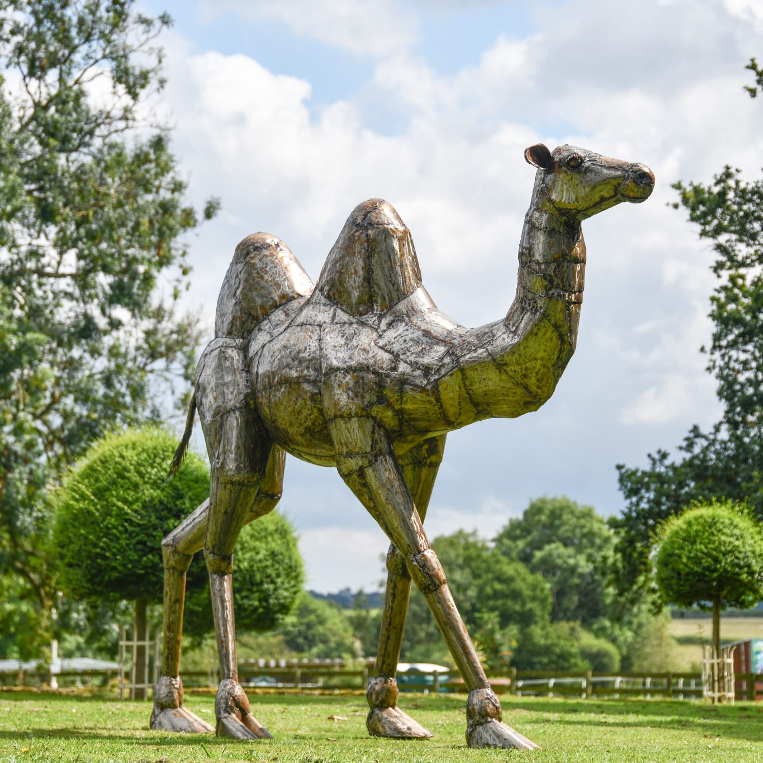 Camel Recycled Oil Drum Garden Sculpture