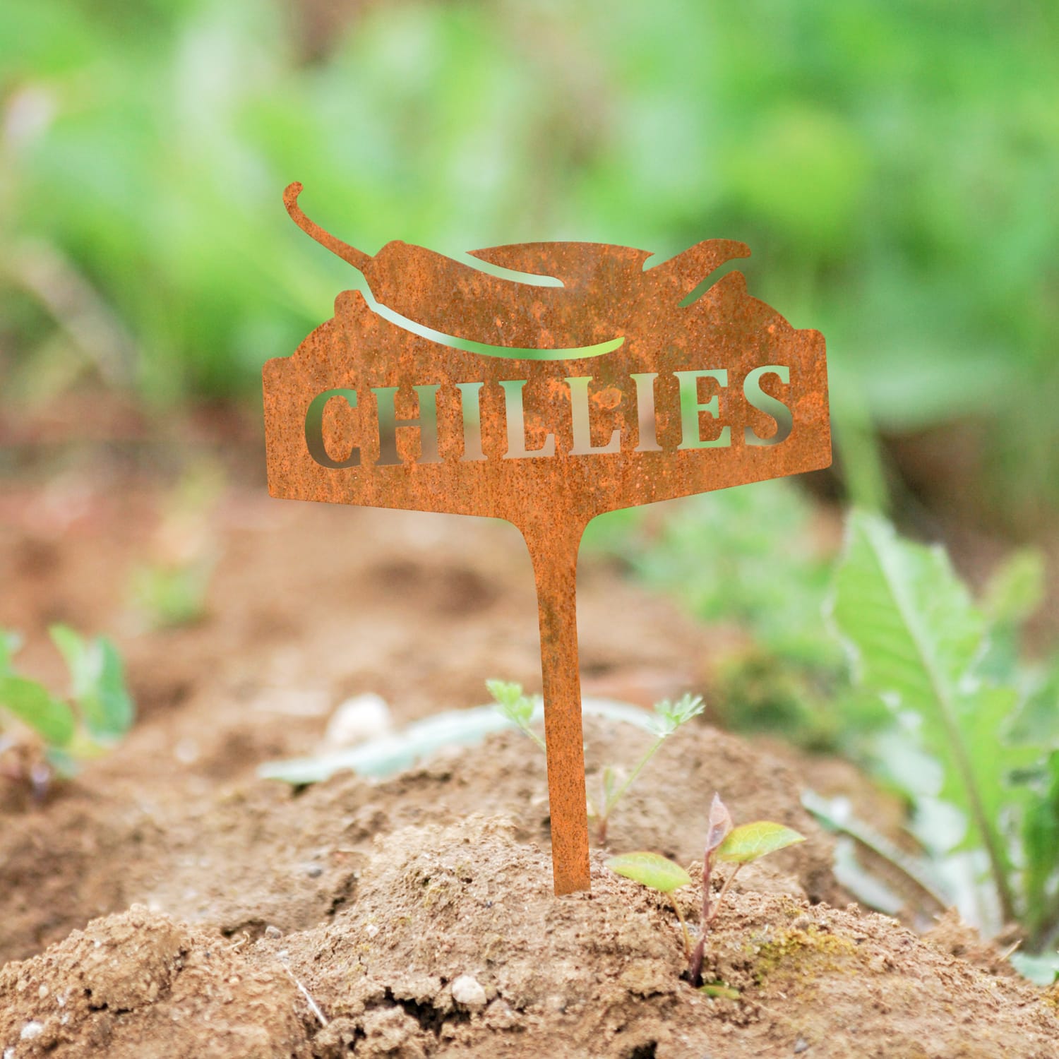 Rustic Vegetable Sign - Chillies