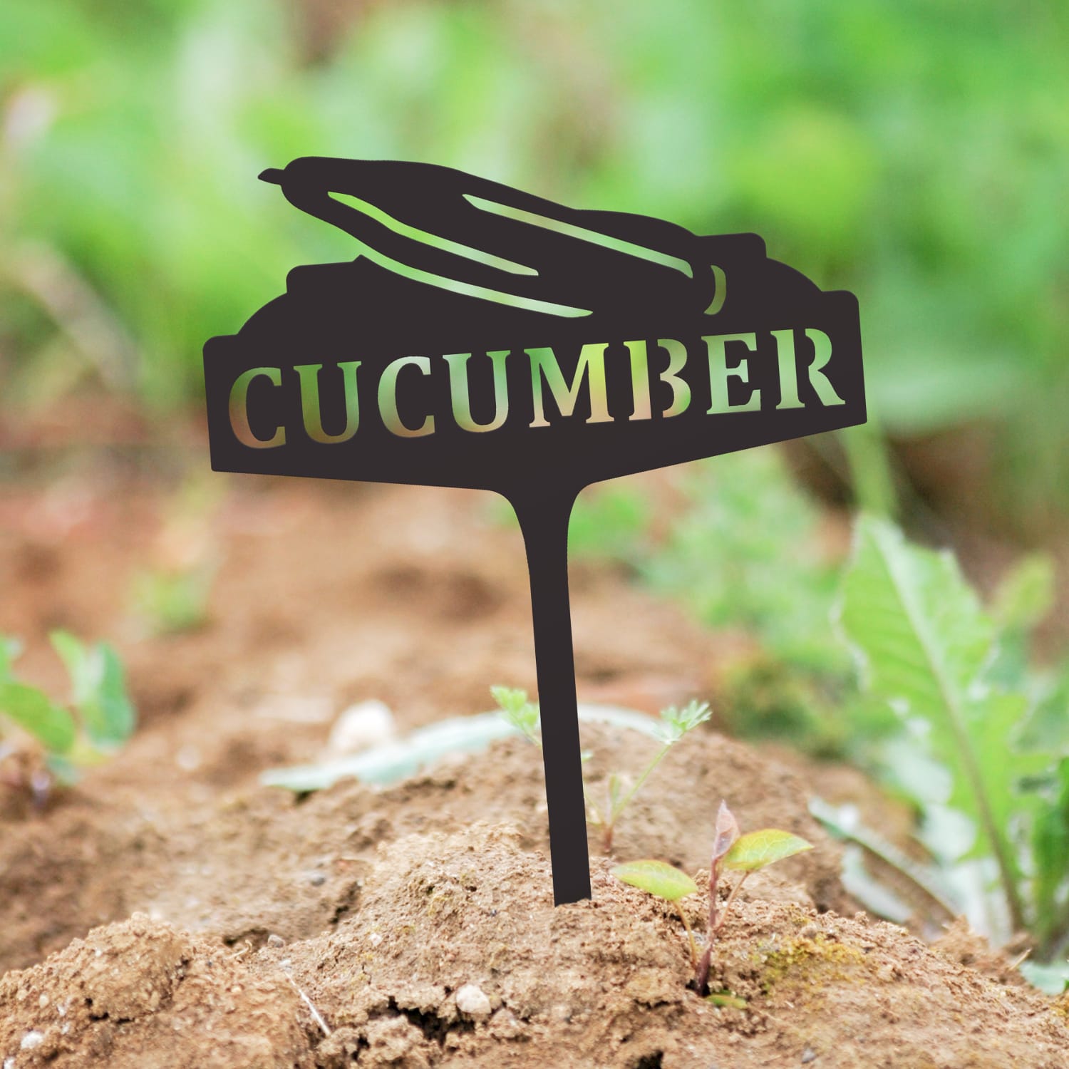 Vegetable Sign - Cucumber
