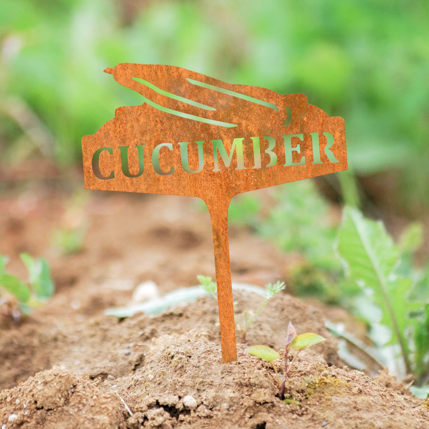 Rustic Vegetable Sign - Cucumber