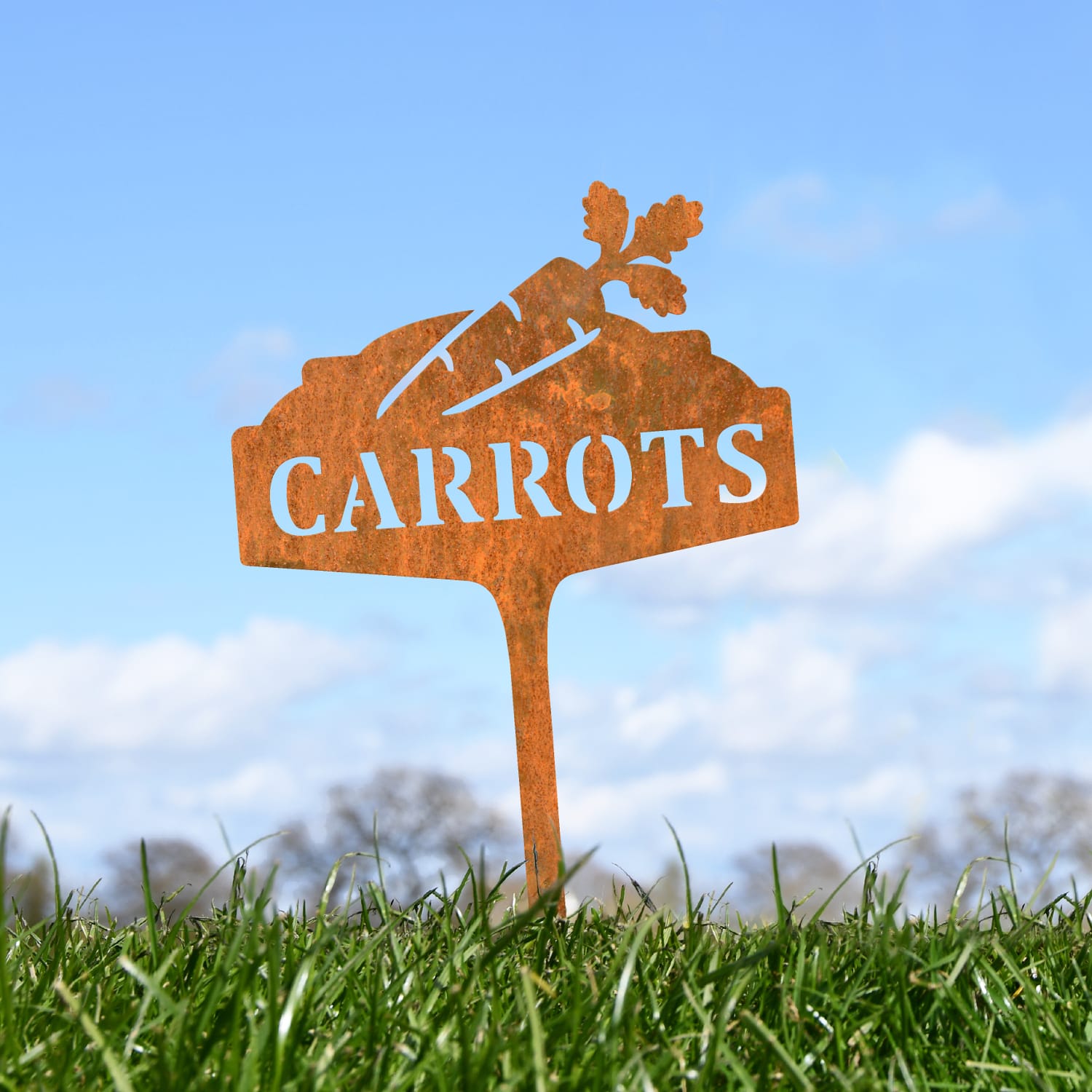 Rustic Vegetable Sign - Carrots