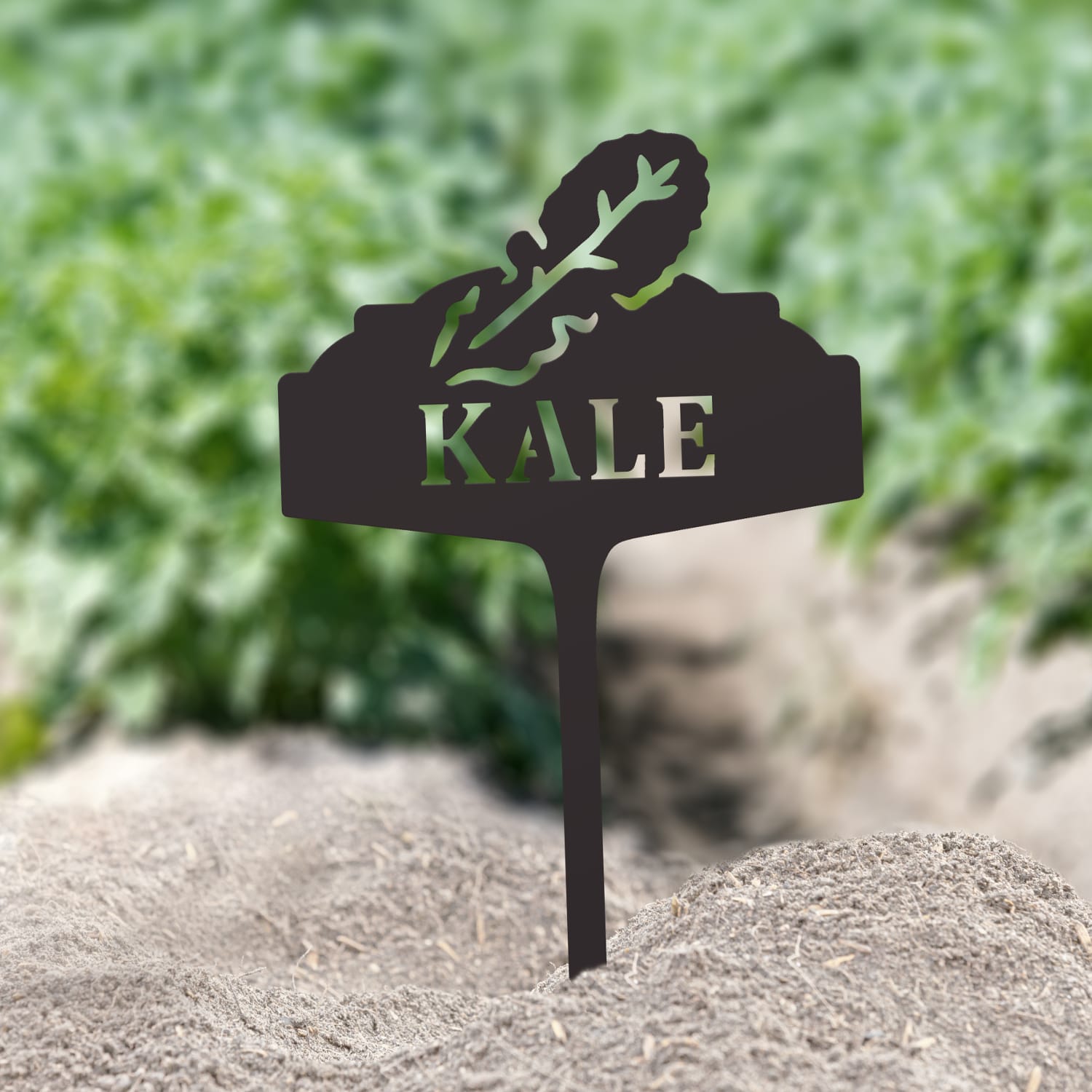 Vegetable Sign - Kale