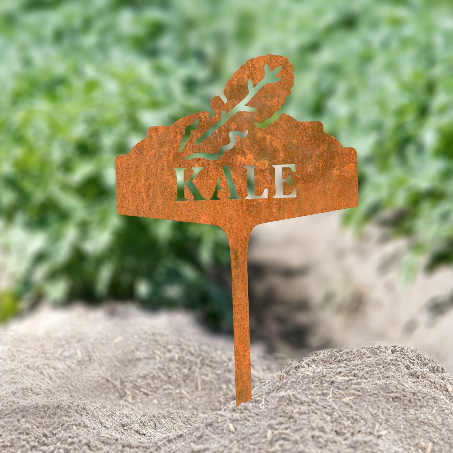 Rustic Vegetable Sign - Kale