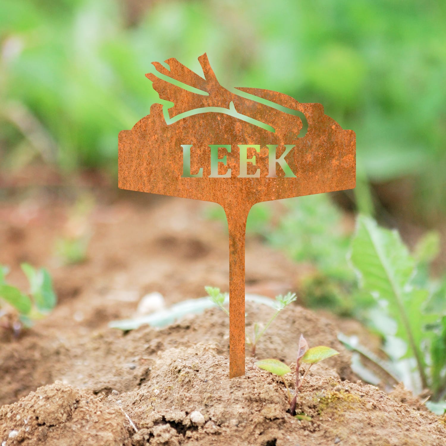 Rustic Vegetable Sign - Leek