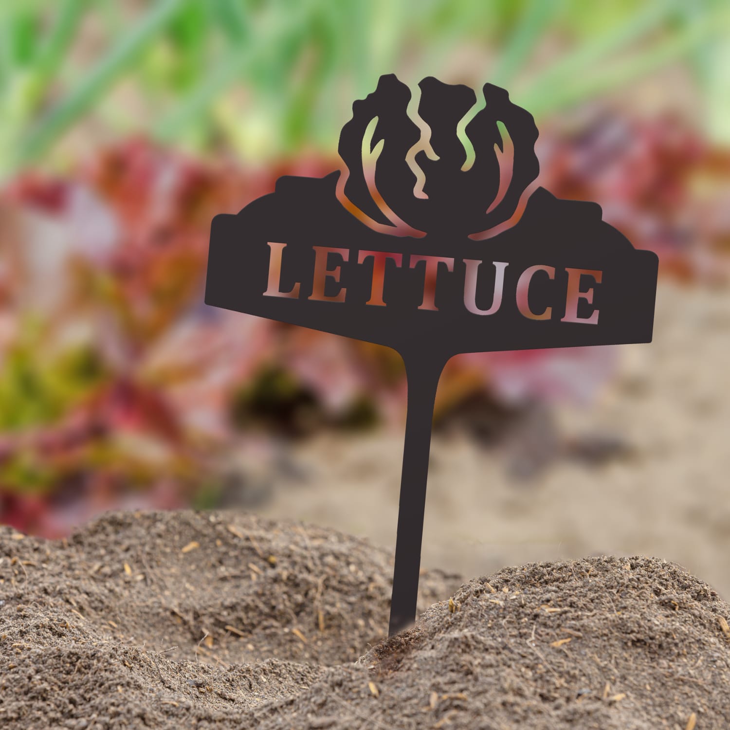 Vegetable Sign - Lettuce
