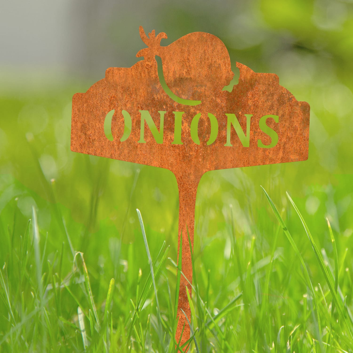 Rustic Vegetable Sign - Onion