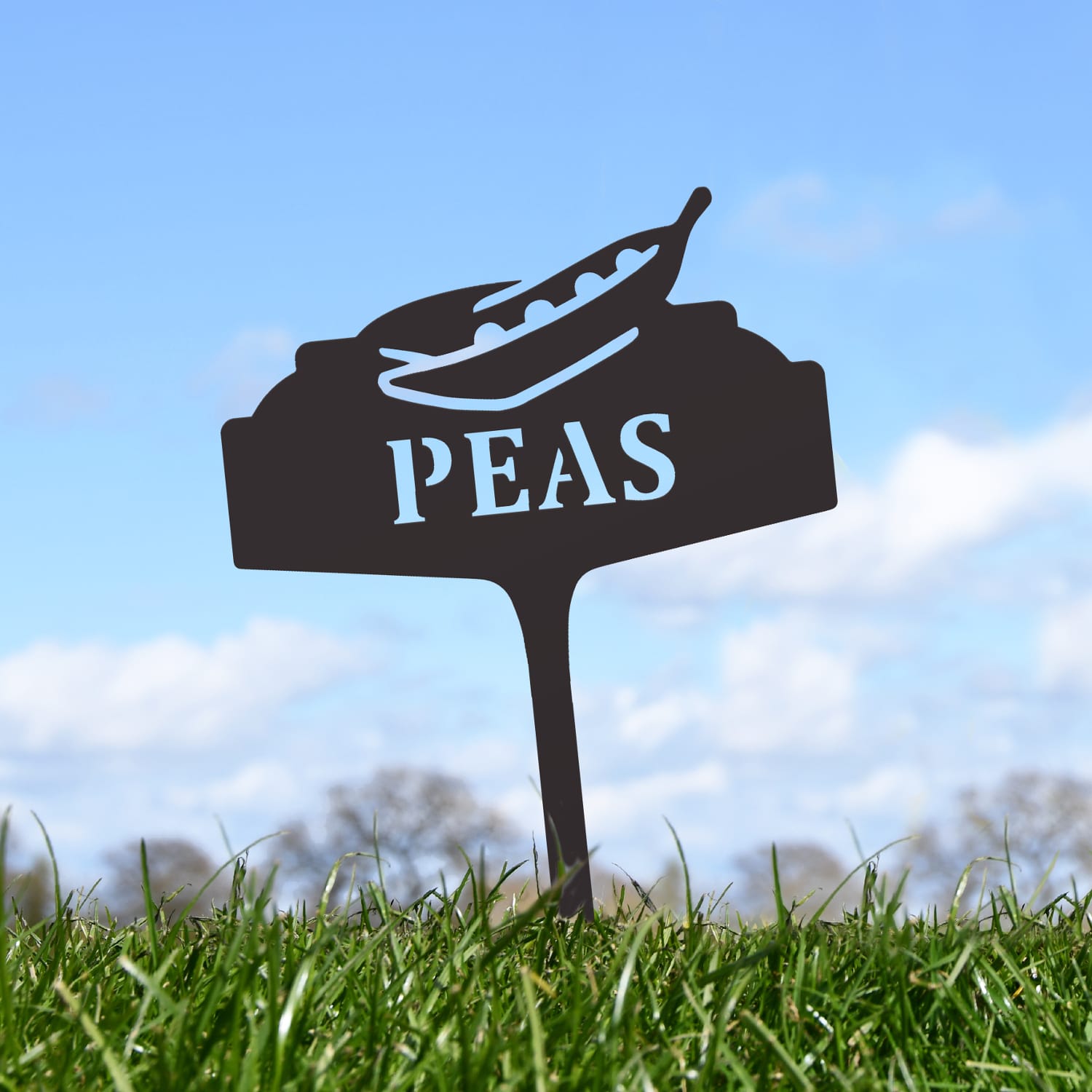 Vegetable Sign - Peas