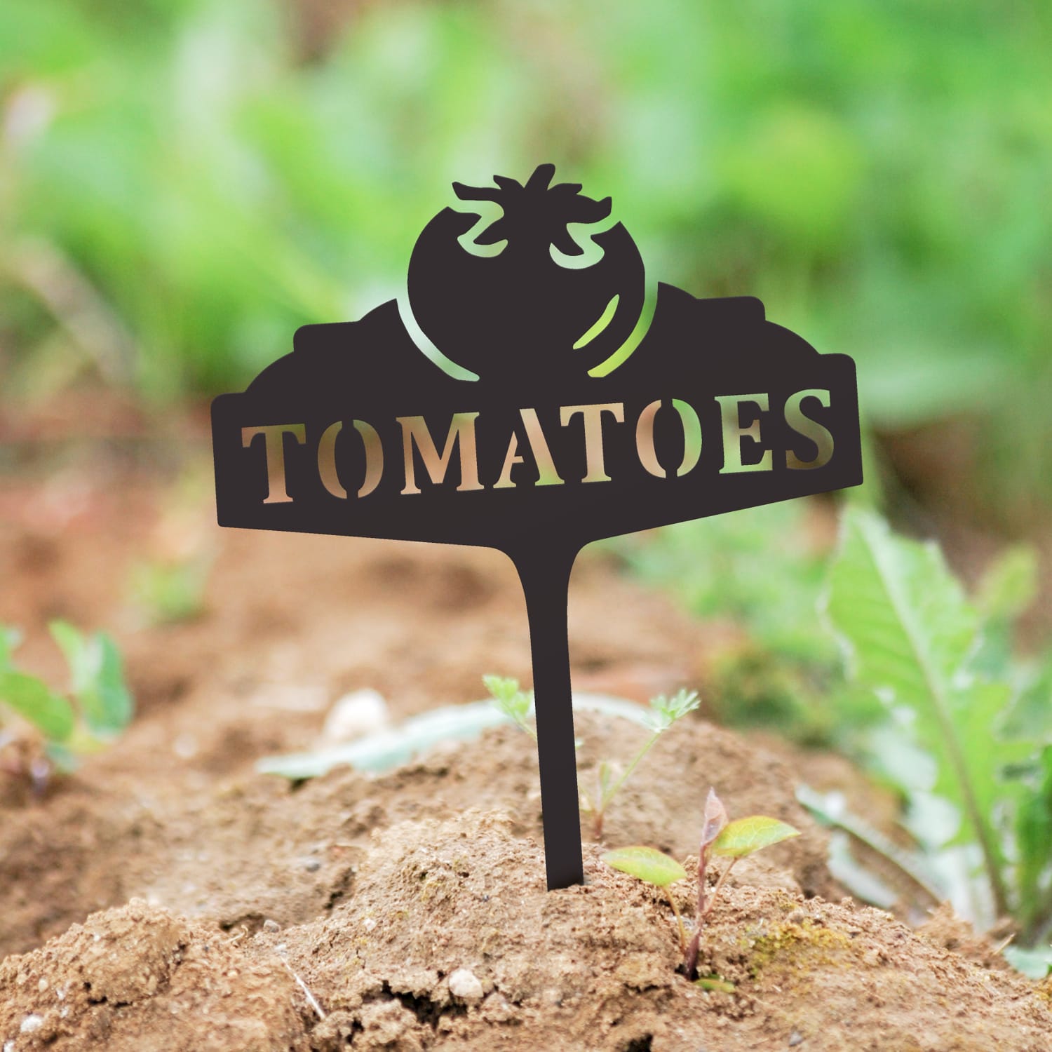 Vegetable Sign - Tomato