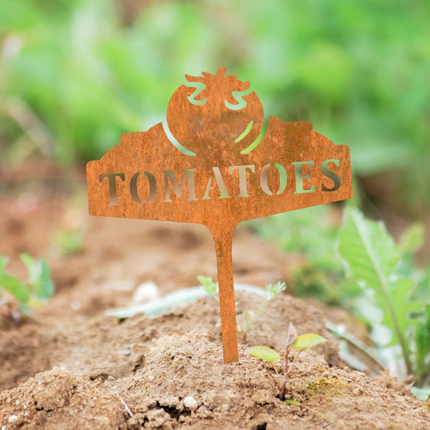 Rustic Vegetable Sign - Tomato