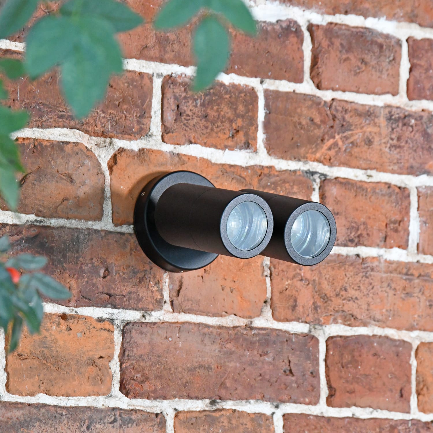 Matte Black Dual Downlighter