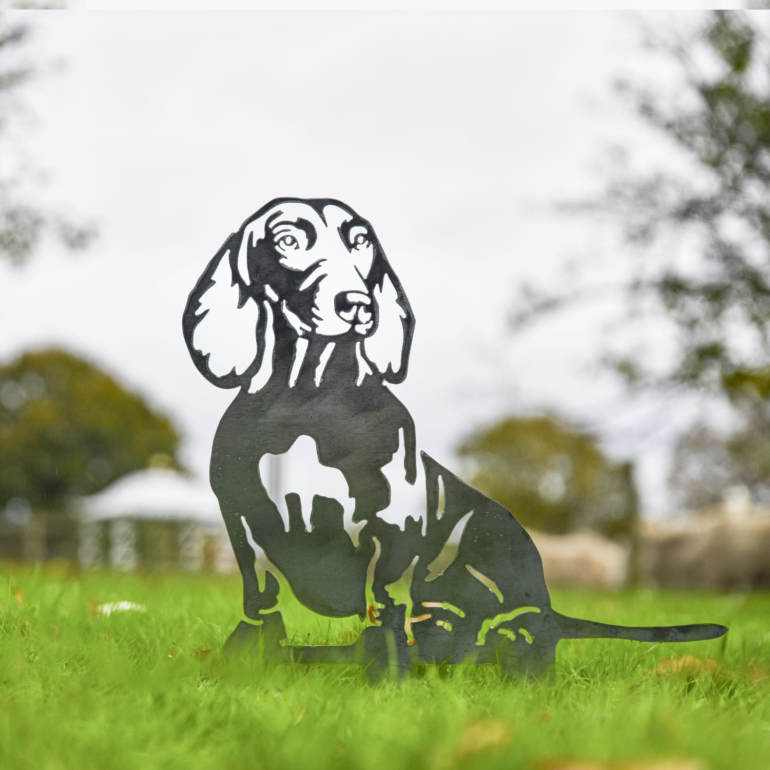 Dachshund Silhouette - Raw Metal