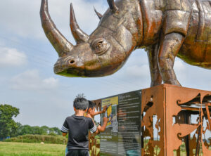 Boy with Rhino