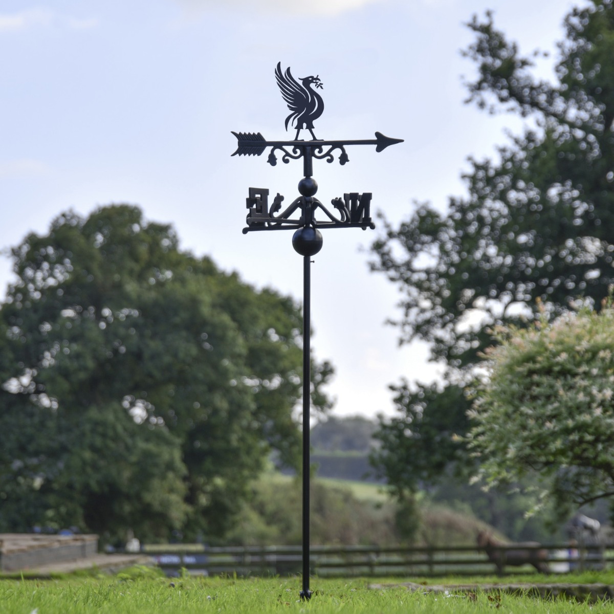 Freestanding Liver Bird Weathervane