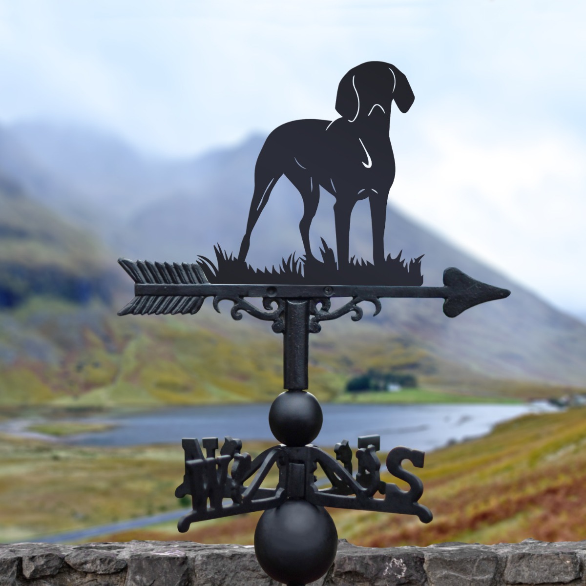 Standing 'Hungarian Vizsla' Dog Weathervane