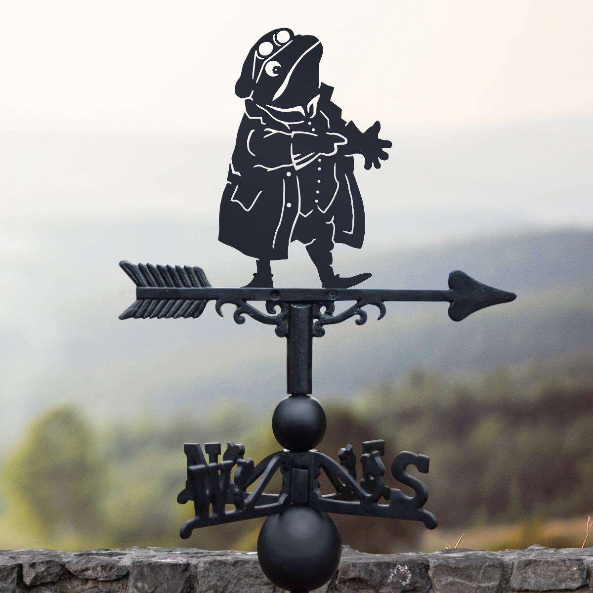 Mr Toad Weathervane