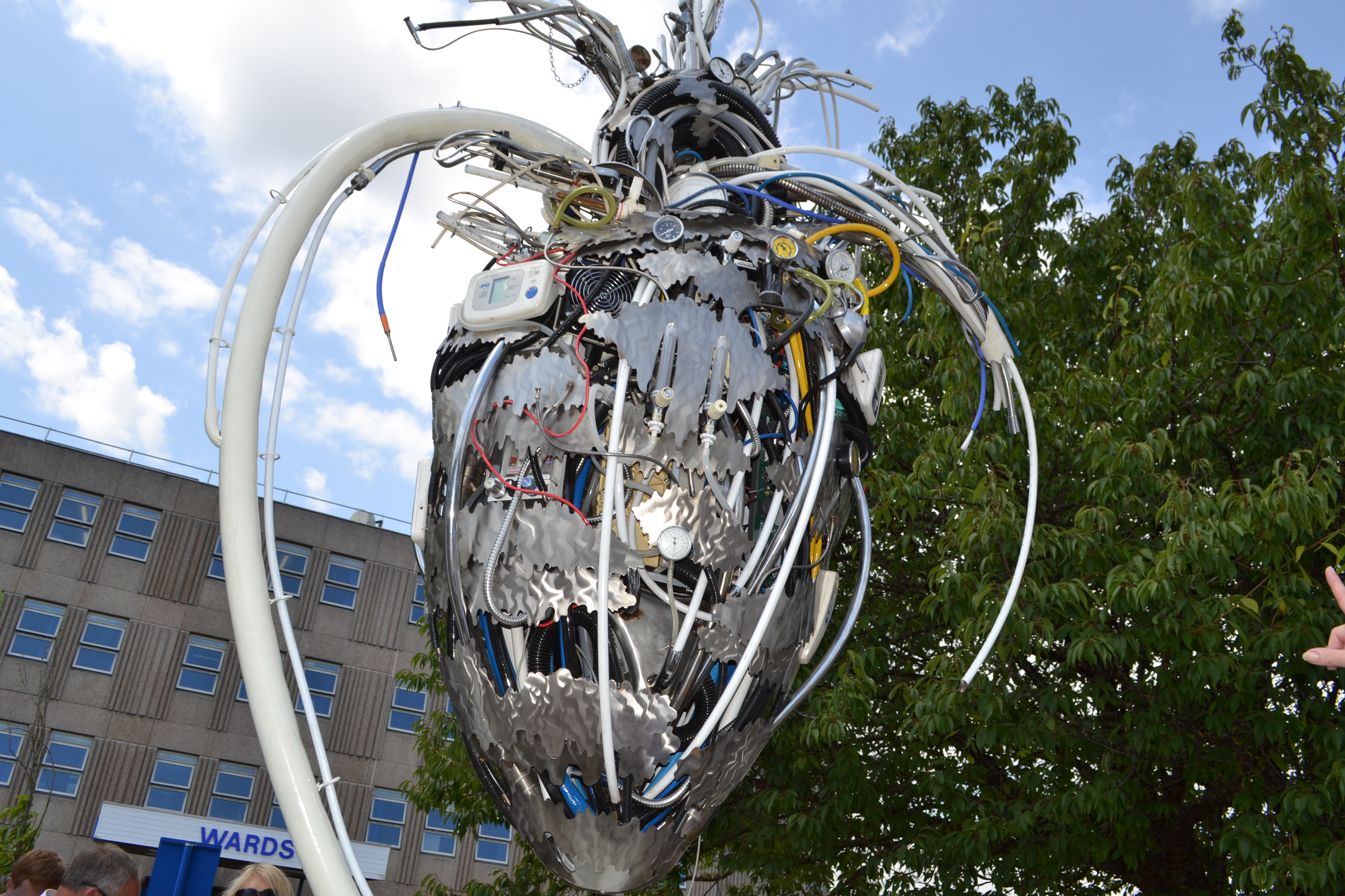 NHS Heart Sculpture Unveiling (8)