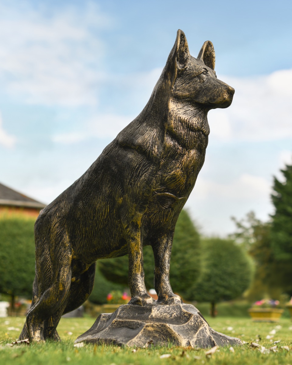 Brushed Gold Belgian Shepherd Sculpture