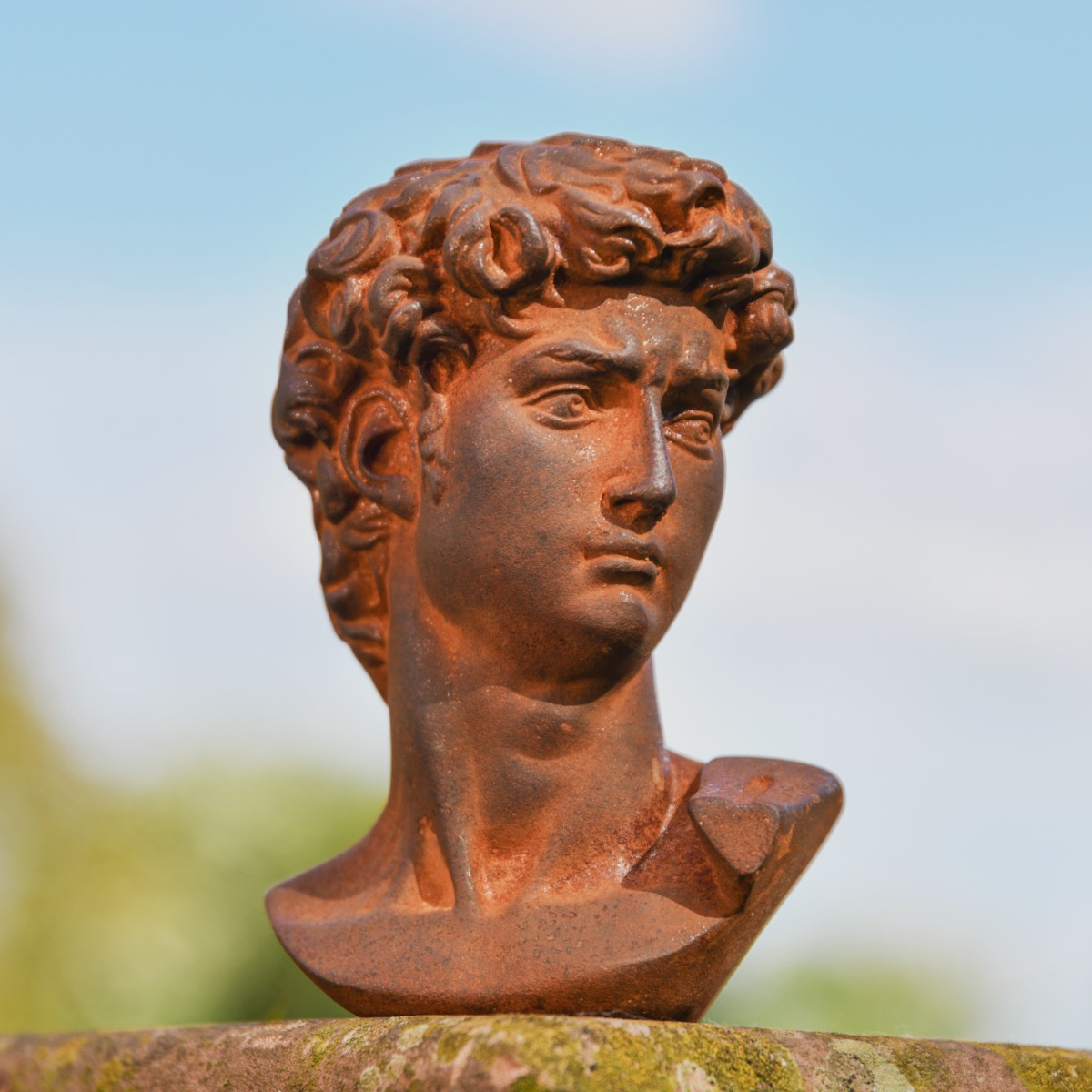 'Bust of David' Cast Iron Rustic Sculpture