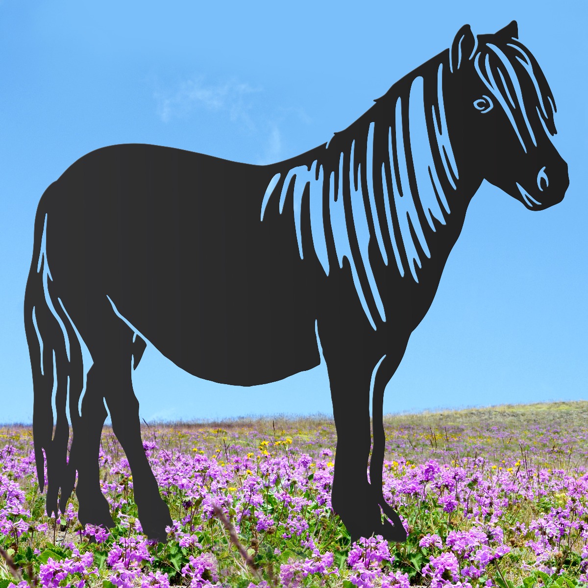 Shetland Pony Sheet Steel Silhouette in Black Finish