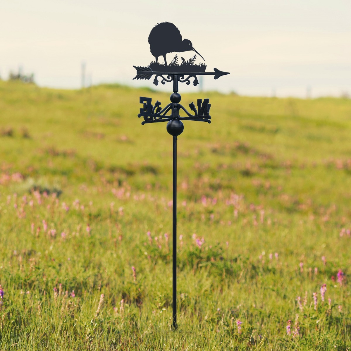 Cast Iron & Steel Kiwi Bird Free Standing Weathervane