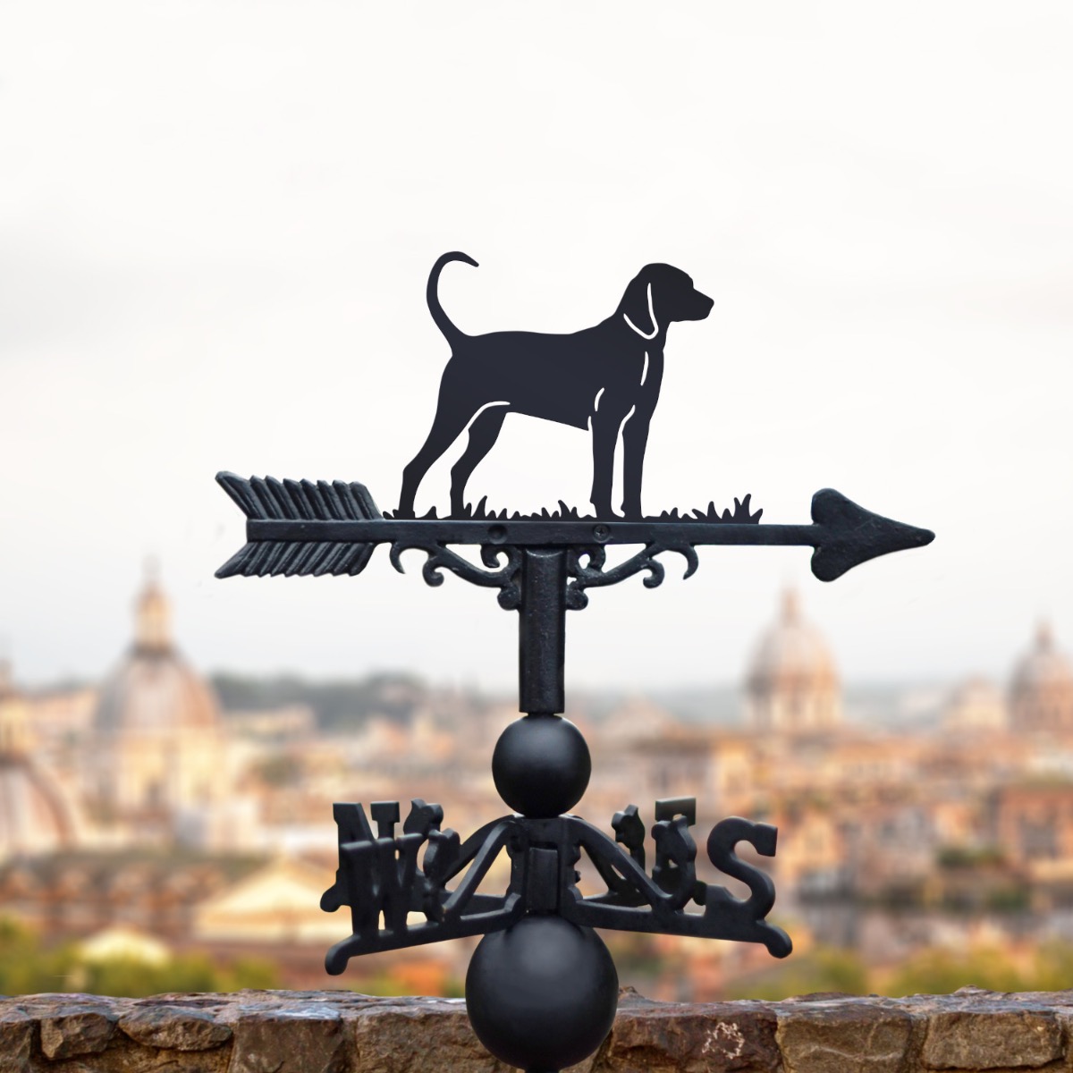 Cast Iron & Steel Coonhound Weathervane