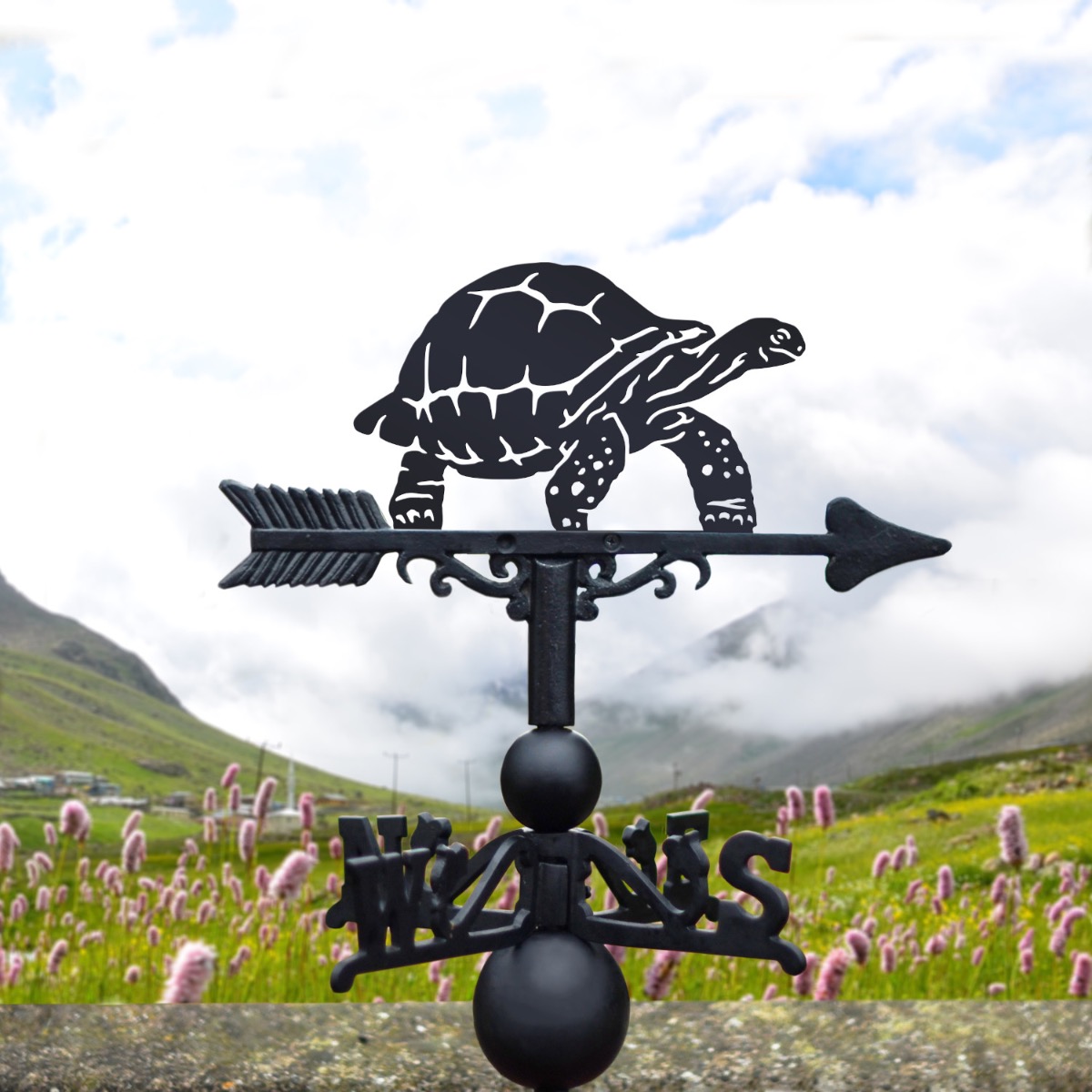 Cast Iron & Steel Galápagos Tortoise Weathervane
