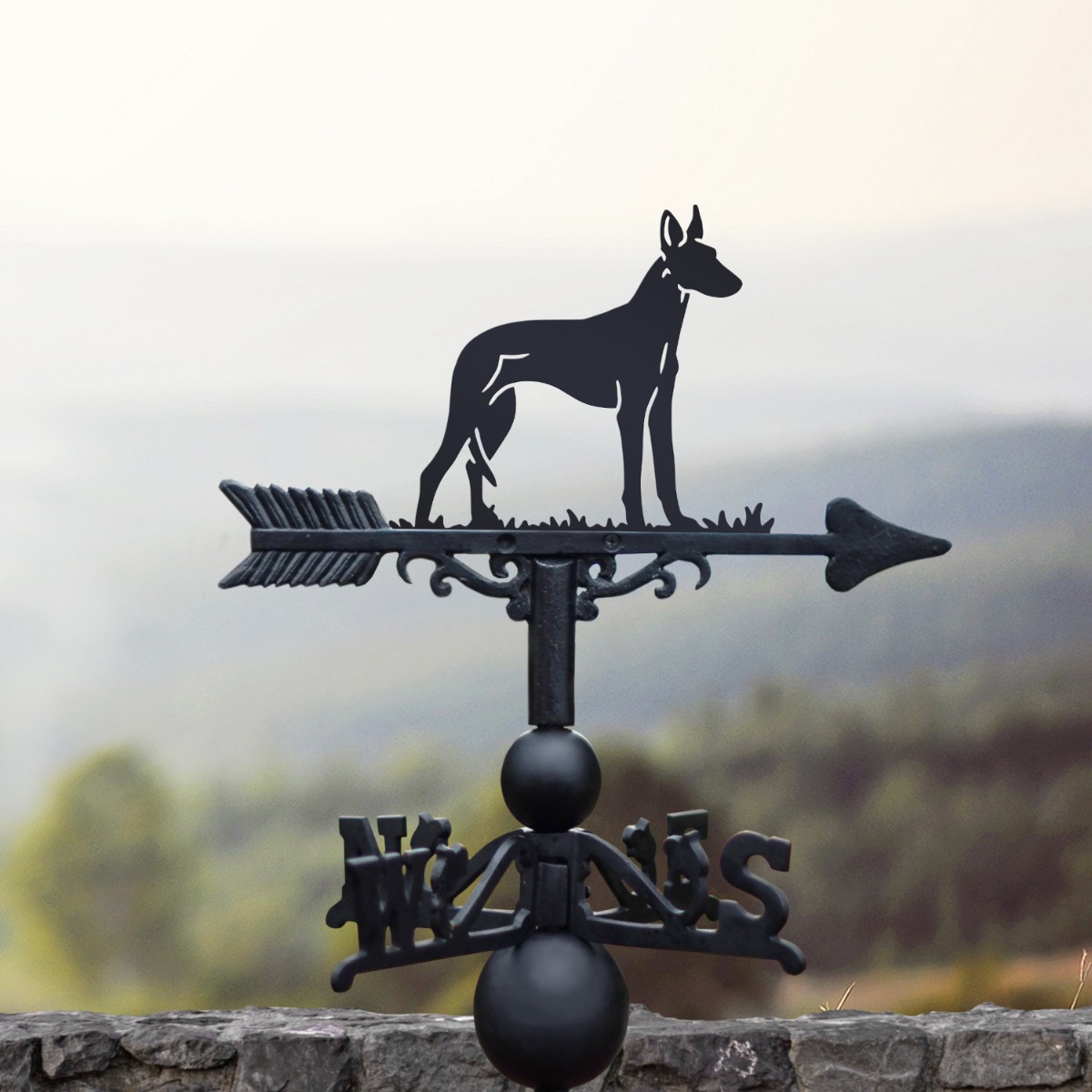 Cast Iron & Steel Ibizan Hound Weathervane