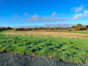 Wetland Nature Sanctuary