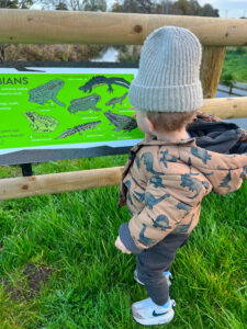 Wetland Picture Featuring Child