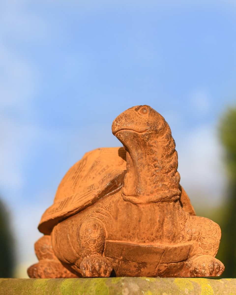 Cast Iron Tortoise Sculpture