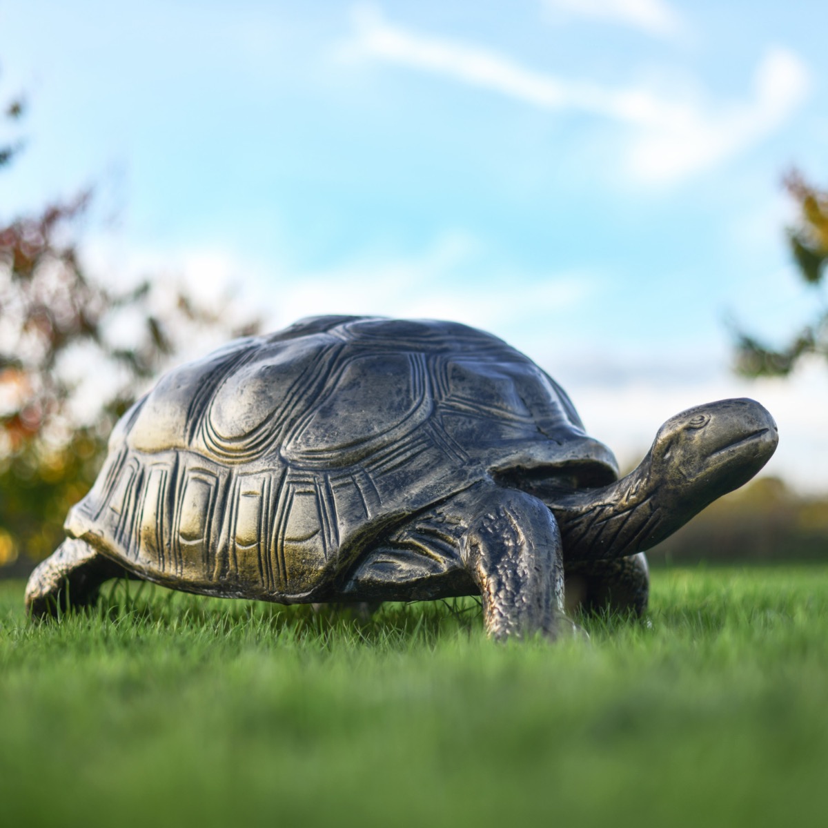 "Marvin" Brushed Gold Cast Aluminium Tortoise Sculpture