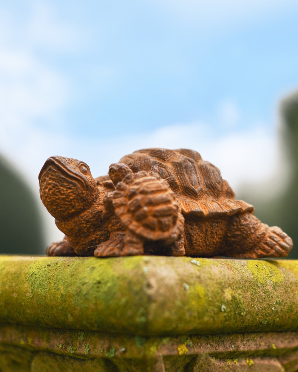 Rustic Cast Iron Tortoise and Hatchling Sculpture