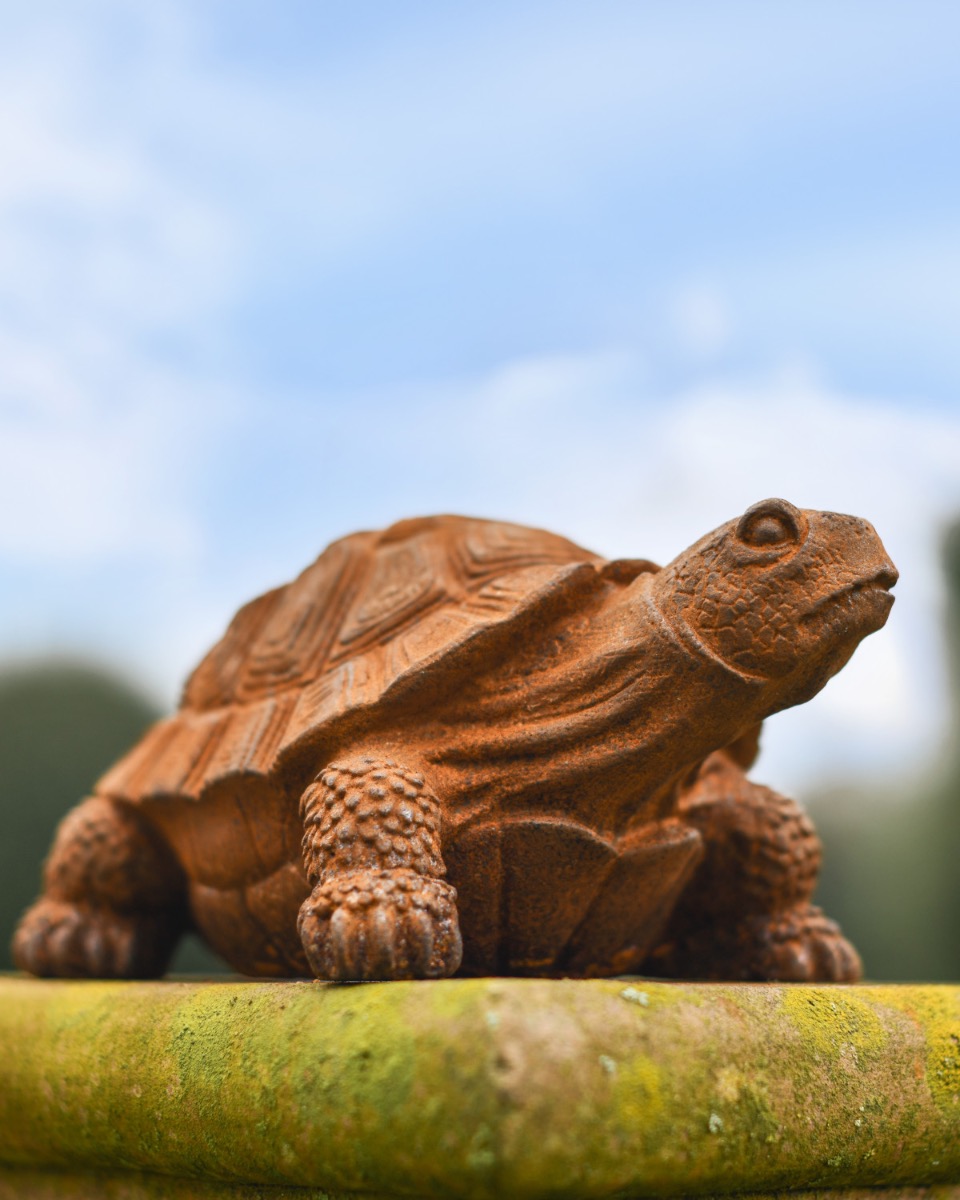 Rustic Cast Iron Tortoise Sculpture