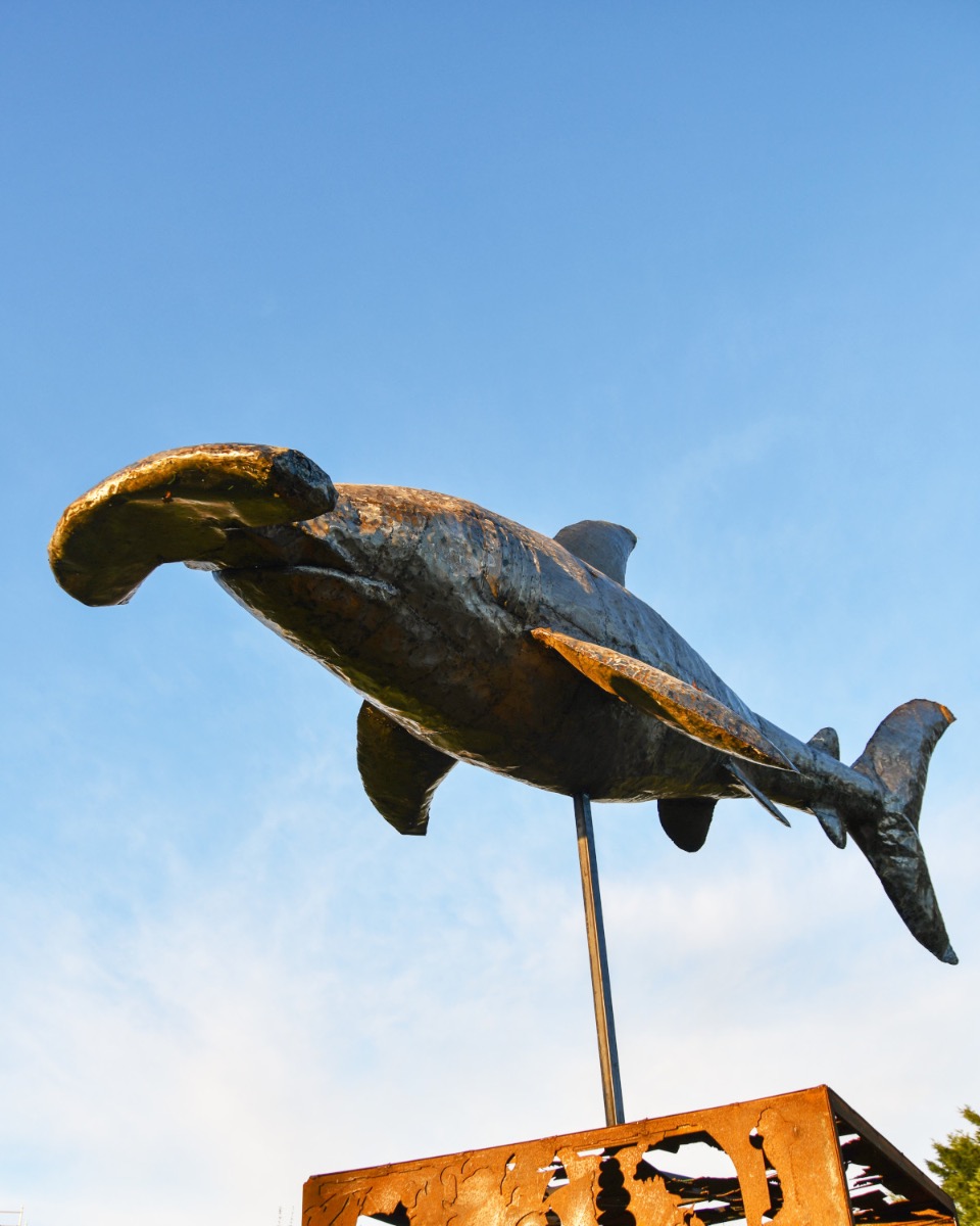 Recycled Metal Hammerhead Shark Sculpture