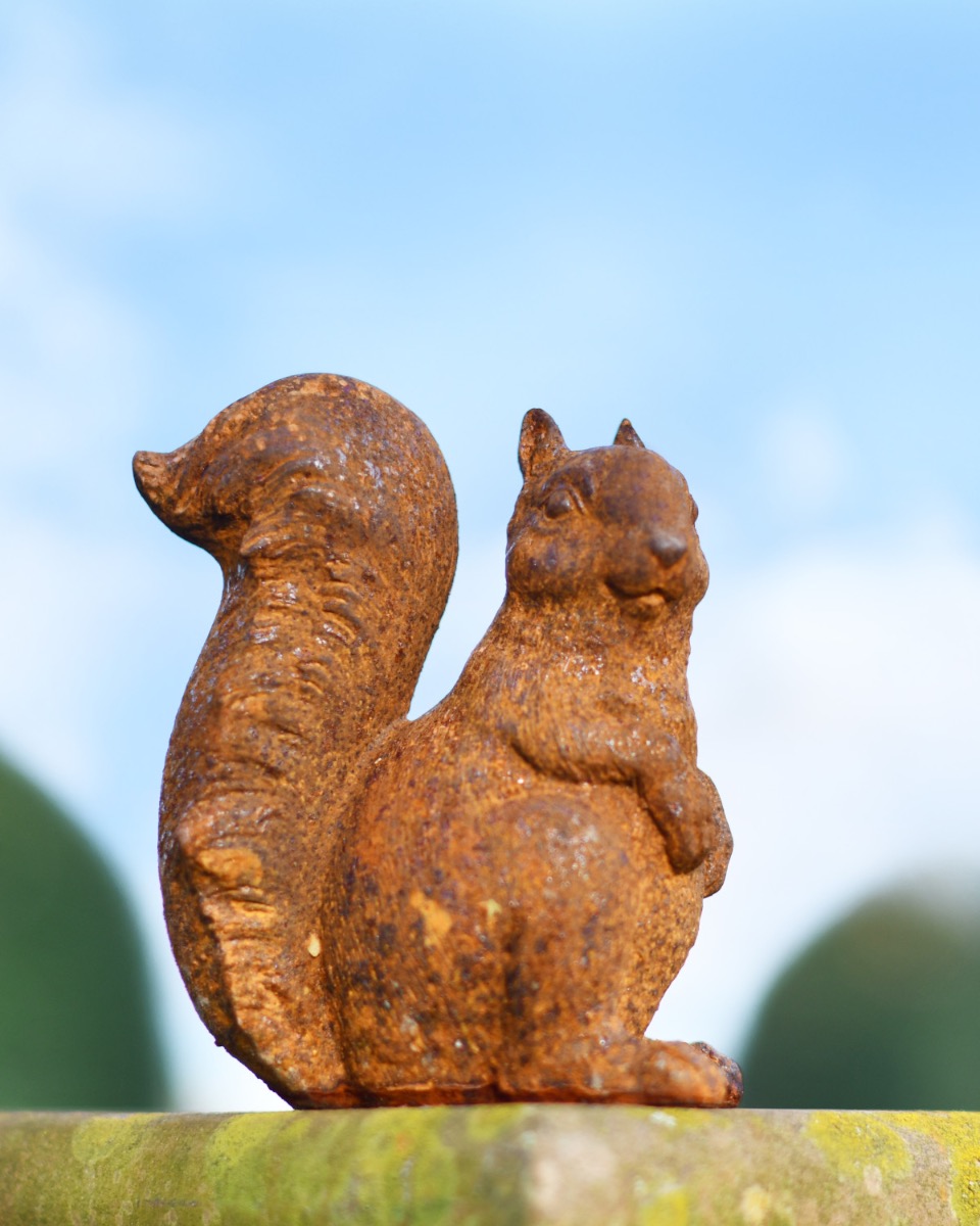 Rustic Cast Iron Alert Squirrel Sculpture
