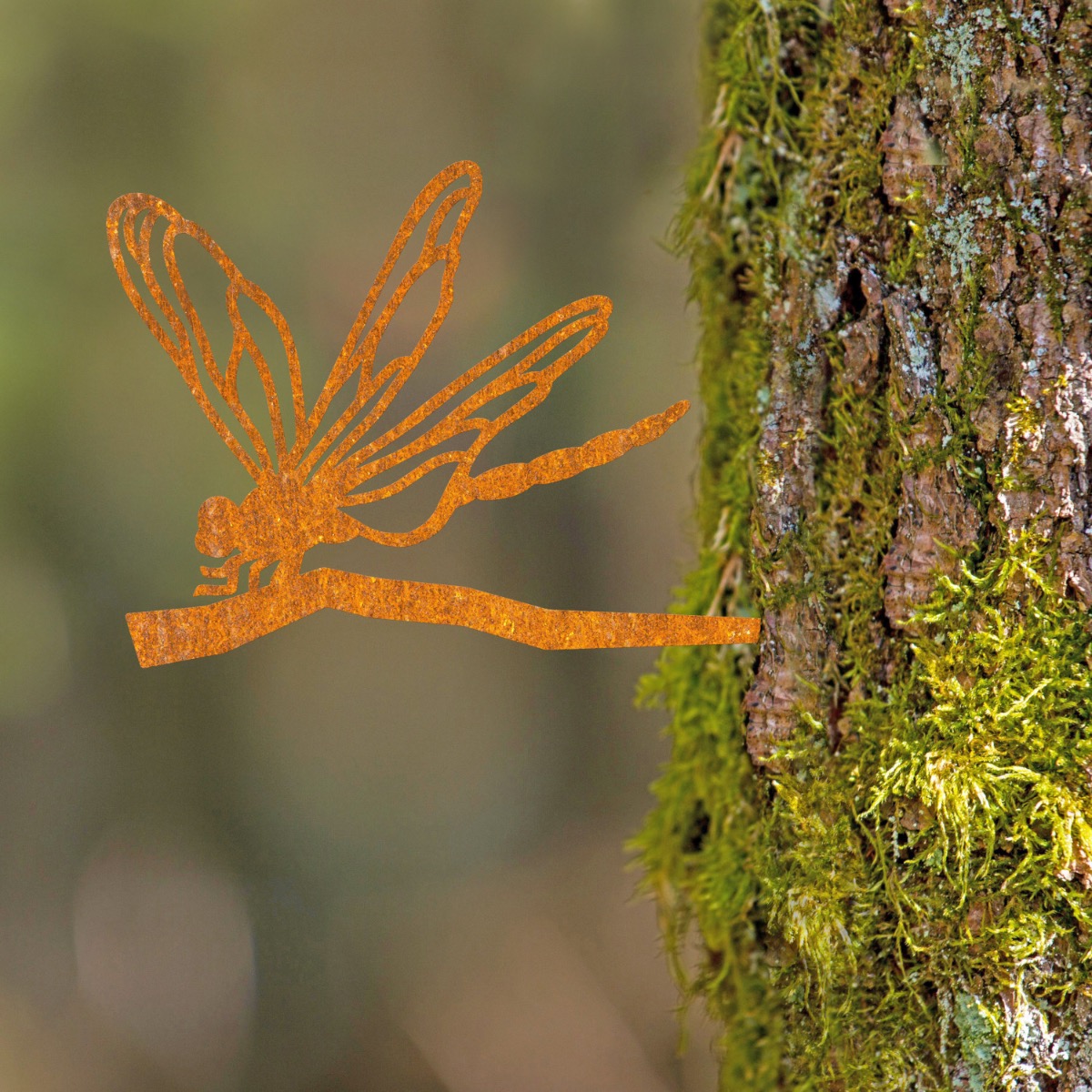 Steel Dragonfly Tree Spike In Rustic