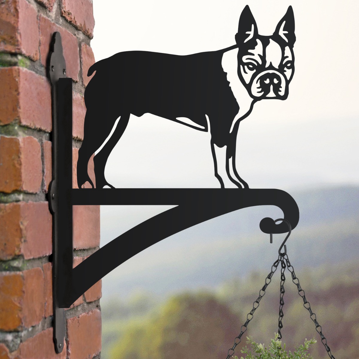 Boston Terrier Standing Hanging Basket Bracket