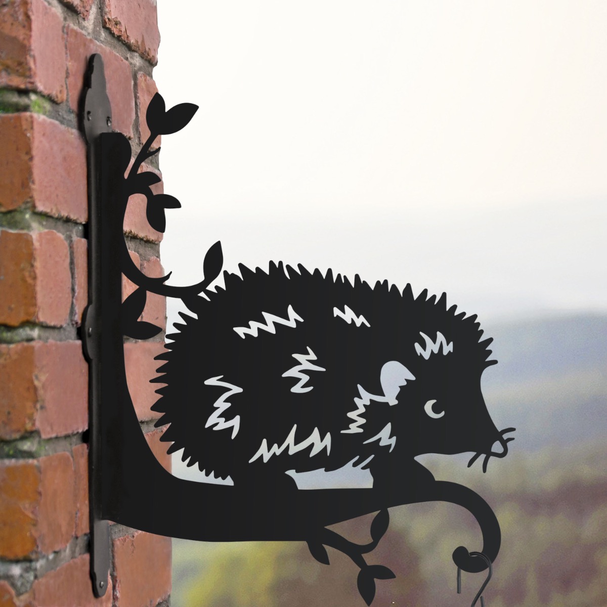 Exploring Hedgehog Hanging Basket Bracket
