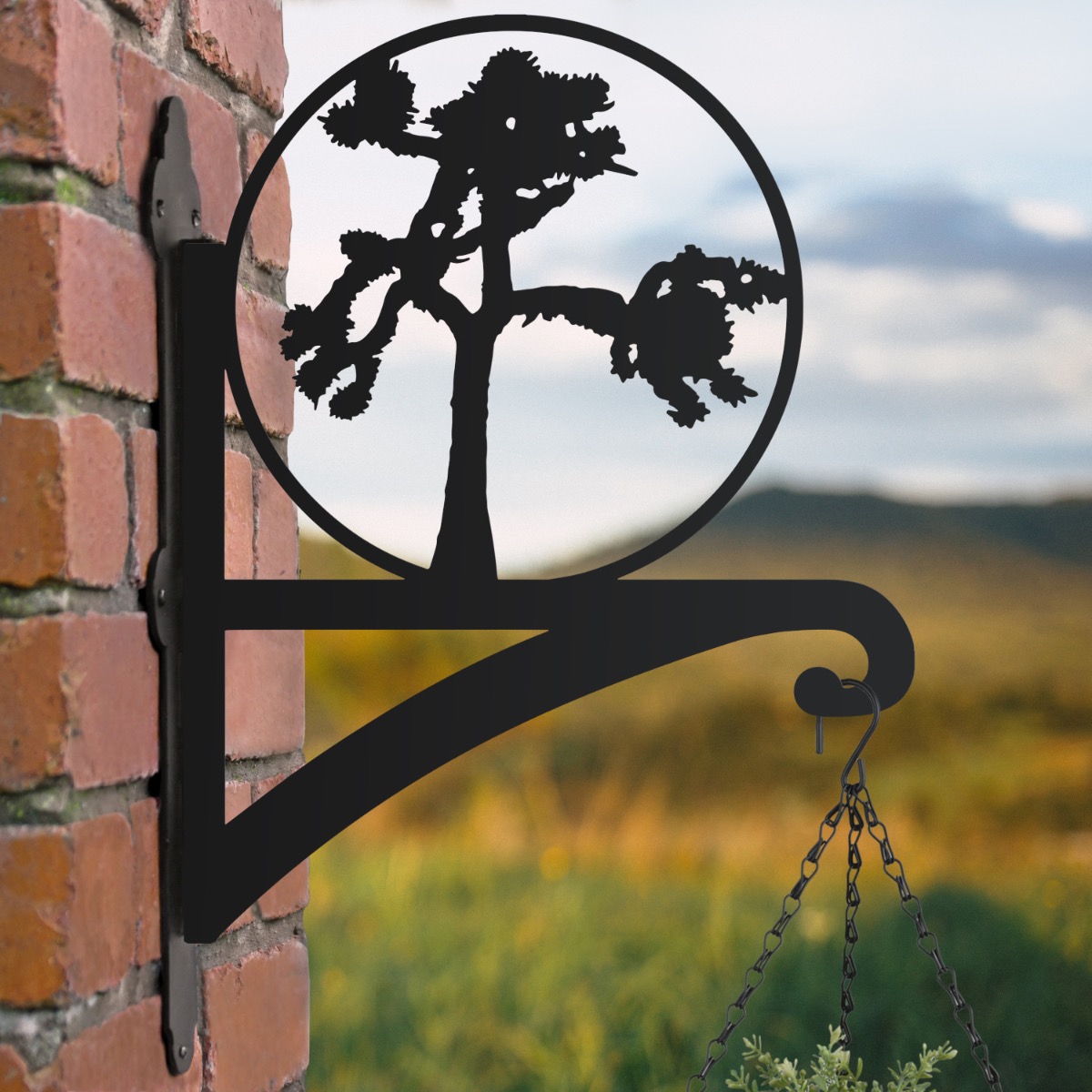 Joshua Tree Hanging Basket Bracket