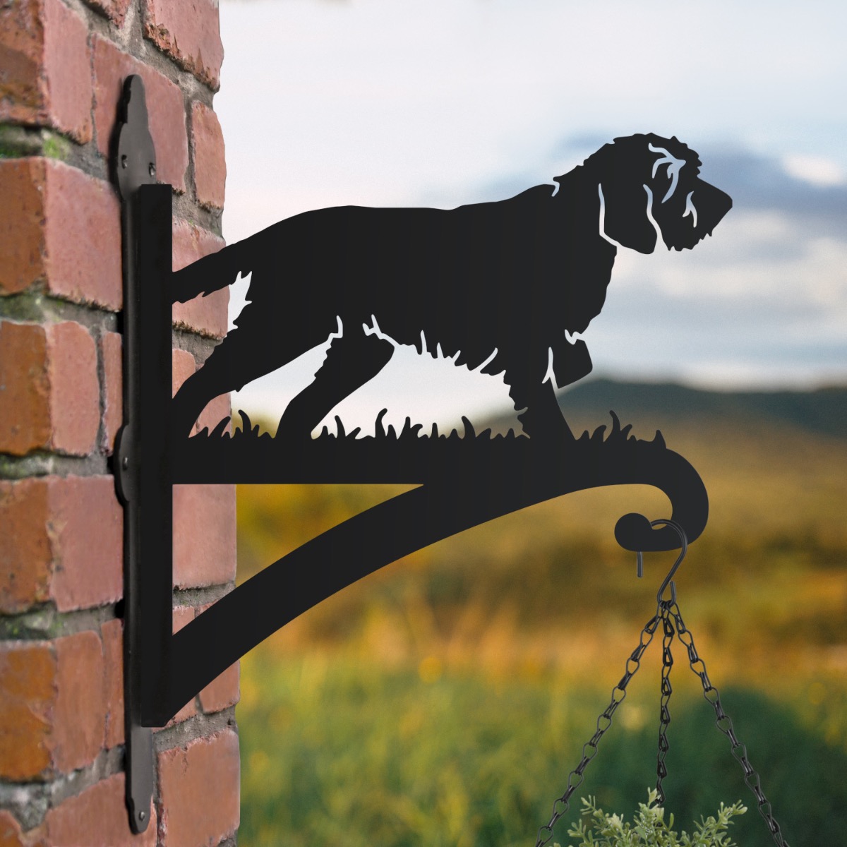 Korthals Griffon Hanging Basket Bracket