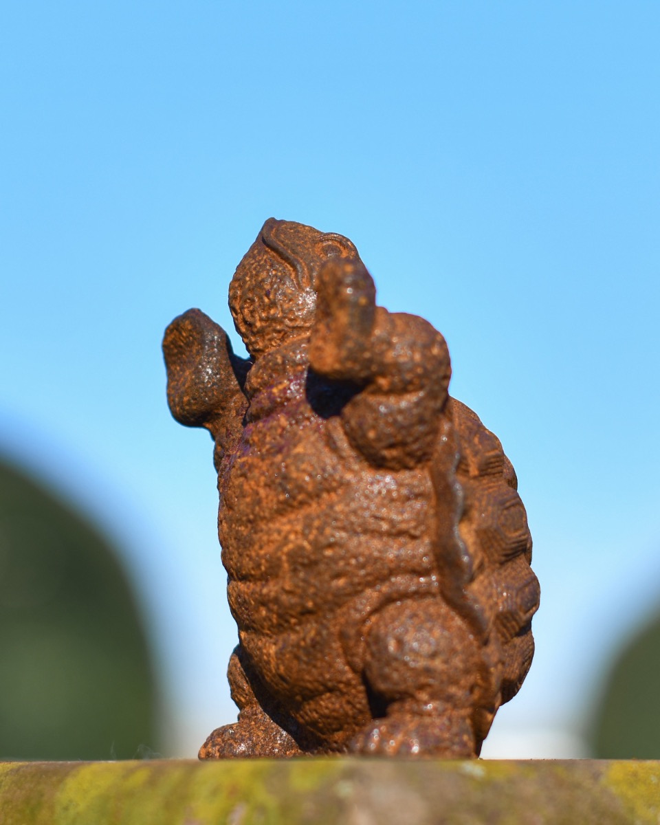 Rustic Cast Iron "Terry" Standing Tortoise Sculpture