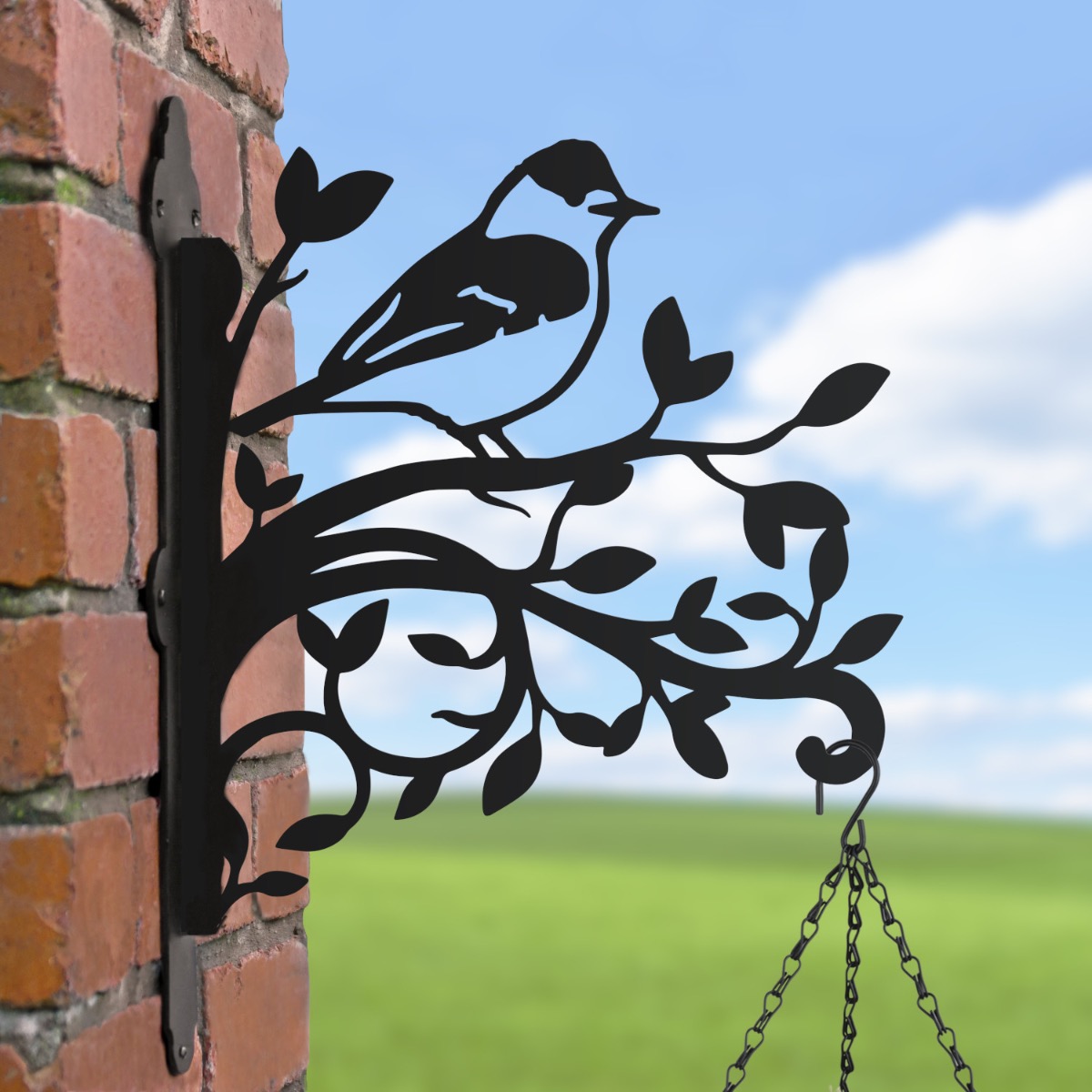 Blackcap Hanging Basket Bracket