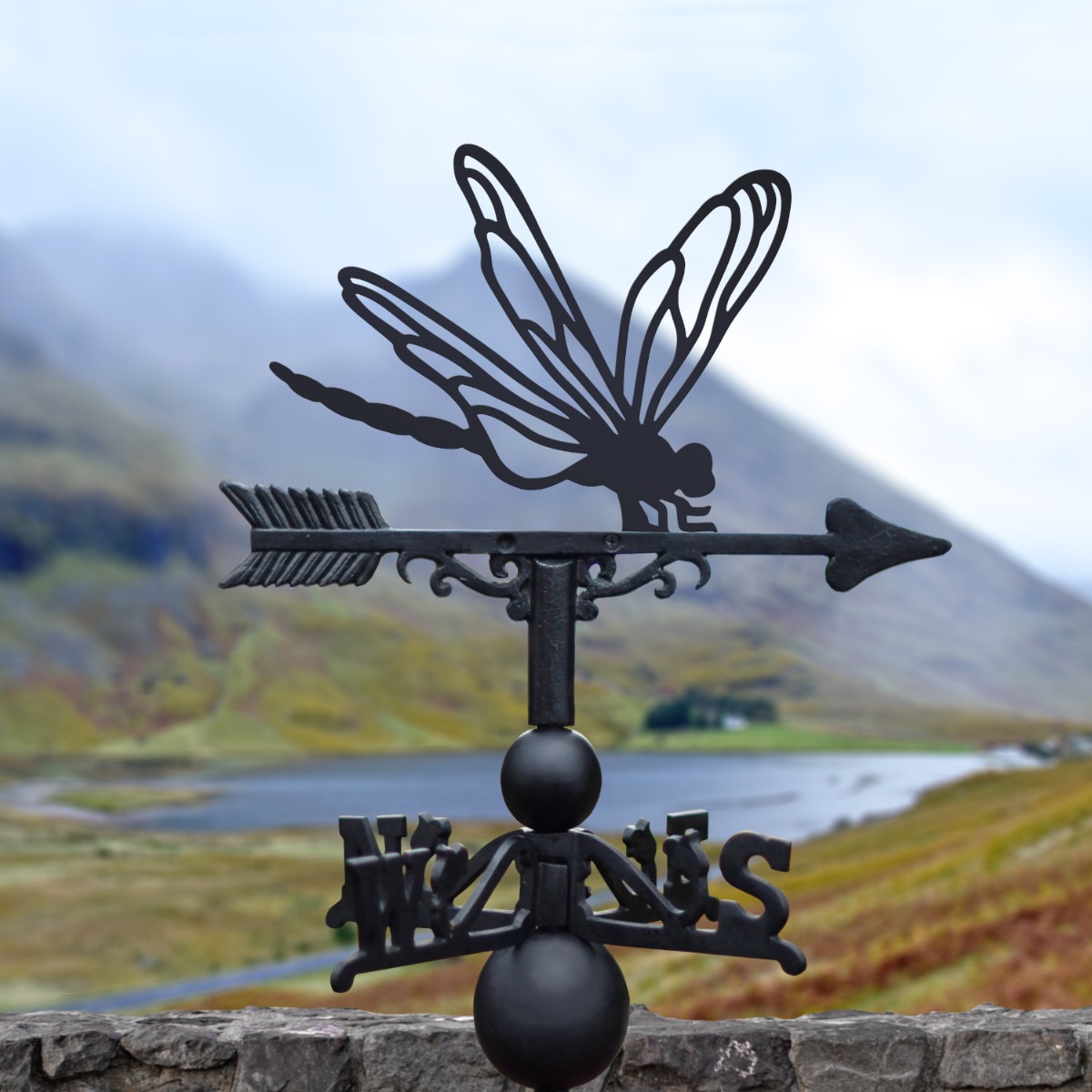 Cast Iron & Steel Dragonfly Weathervane