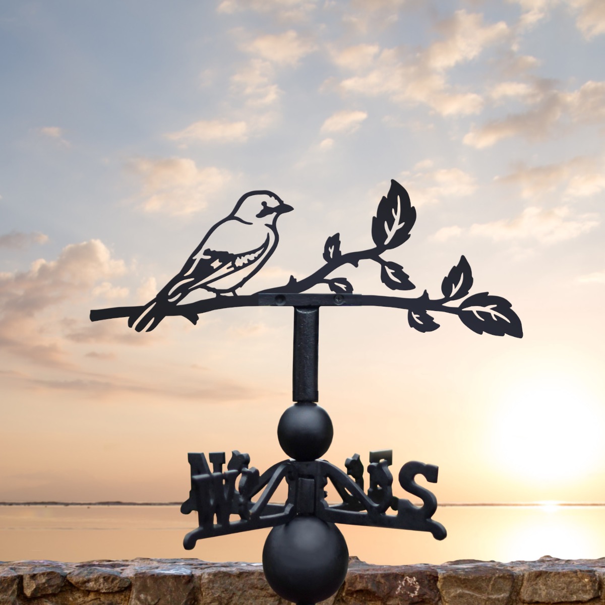 Cast Iron & Steel Jay Weathervane