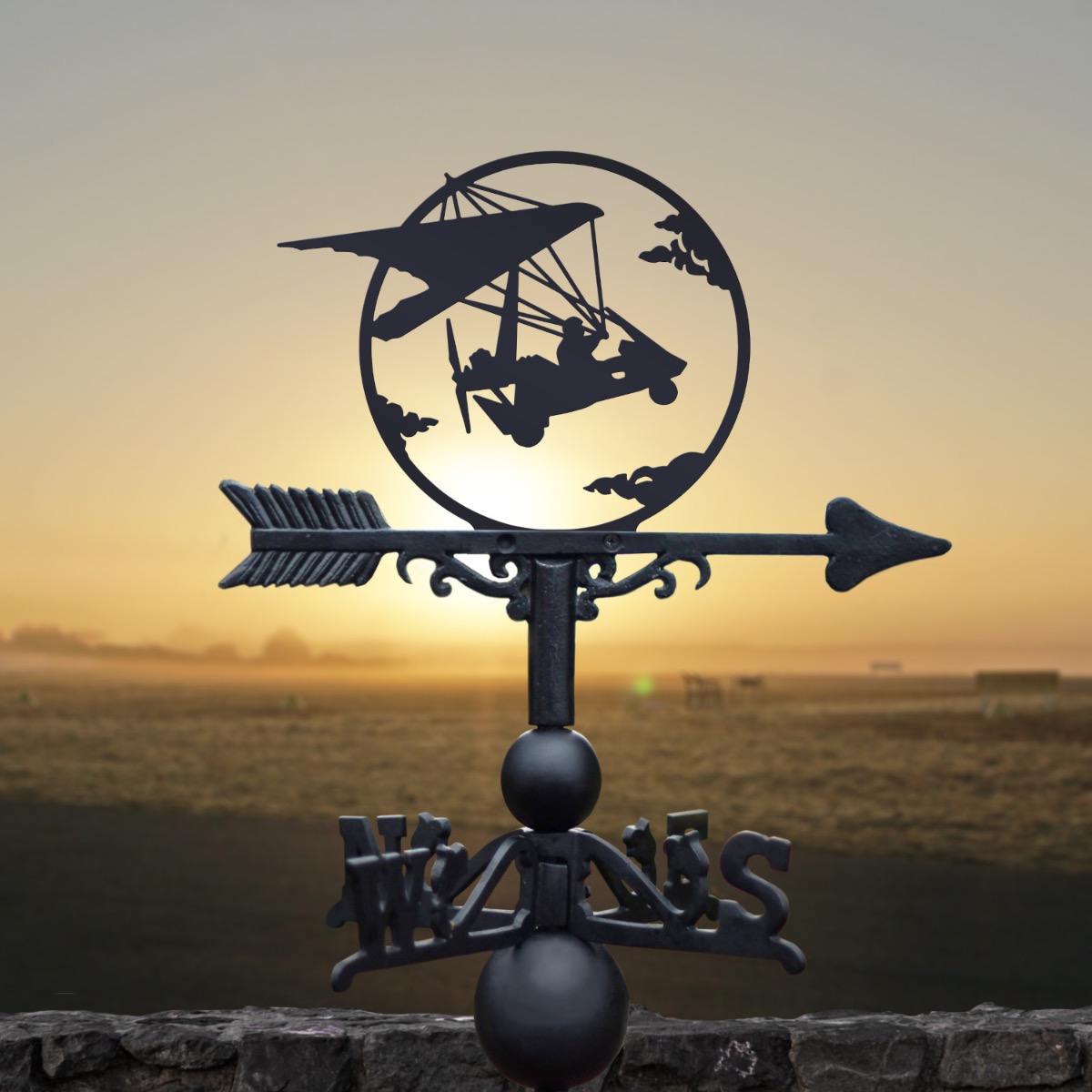Cast Iron & Steel Microlight Weathervane